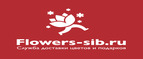 Flowers-sib logo